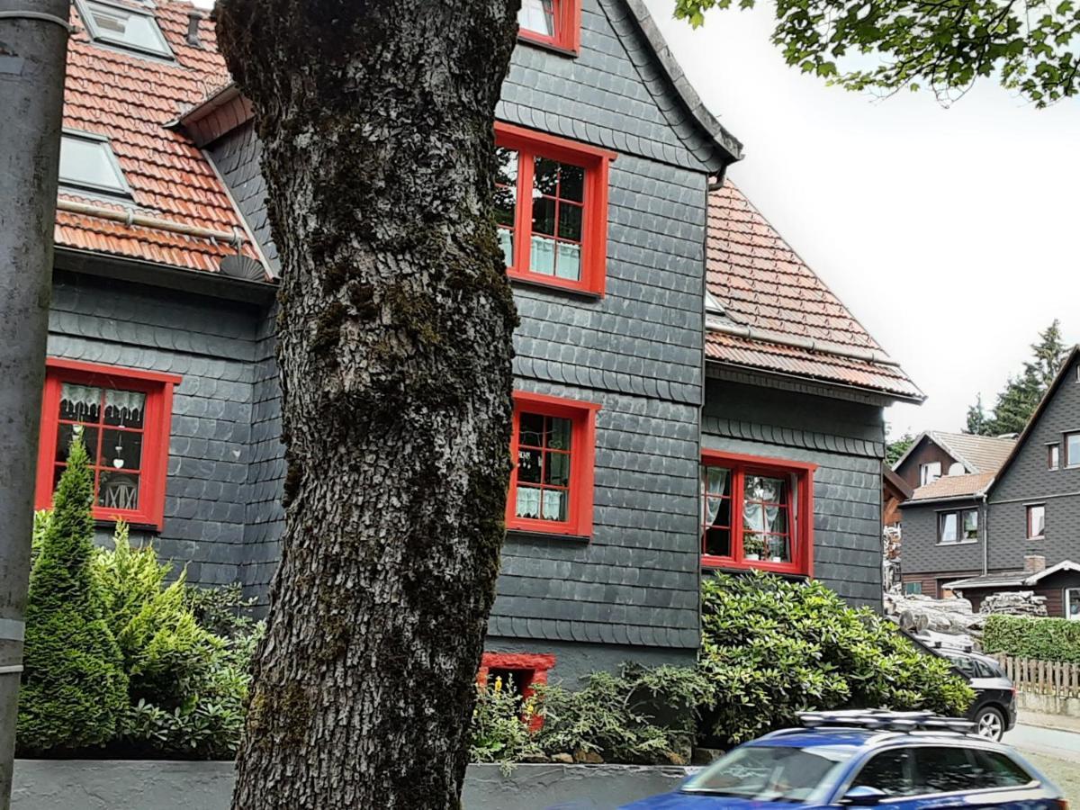 Fewo Holzwurm Braunlage Esterno foto